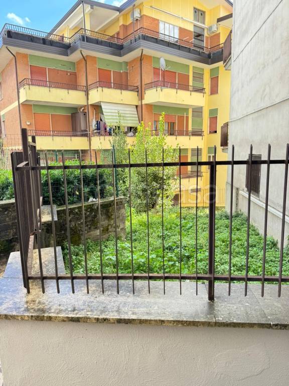 immagine annuncio 3 di 14