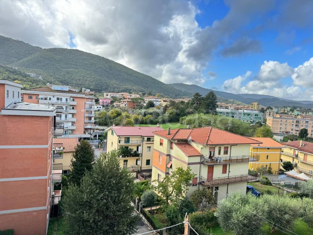 immagine annuncio 7 di 14