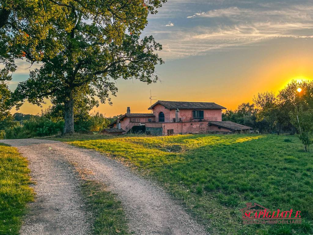 Villa in vendita a Viterbo via Campolungo