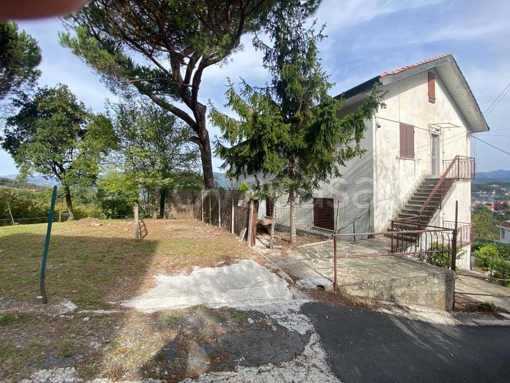 immagine annuncio 6 di 9