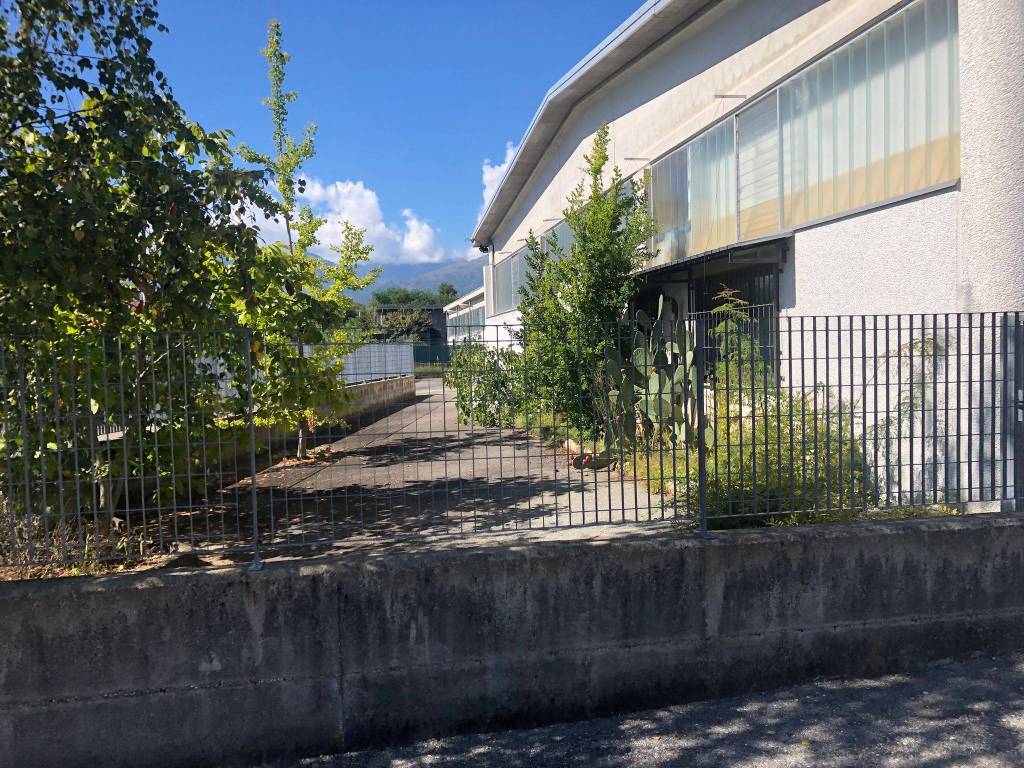 immagine annuncio 9 di 13