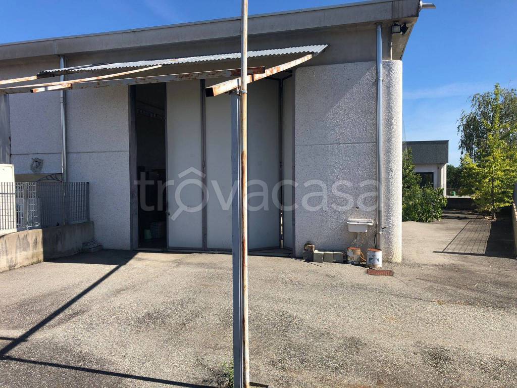 immagine annuncio 9 di 11