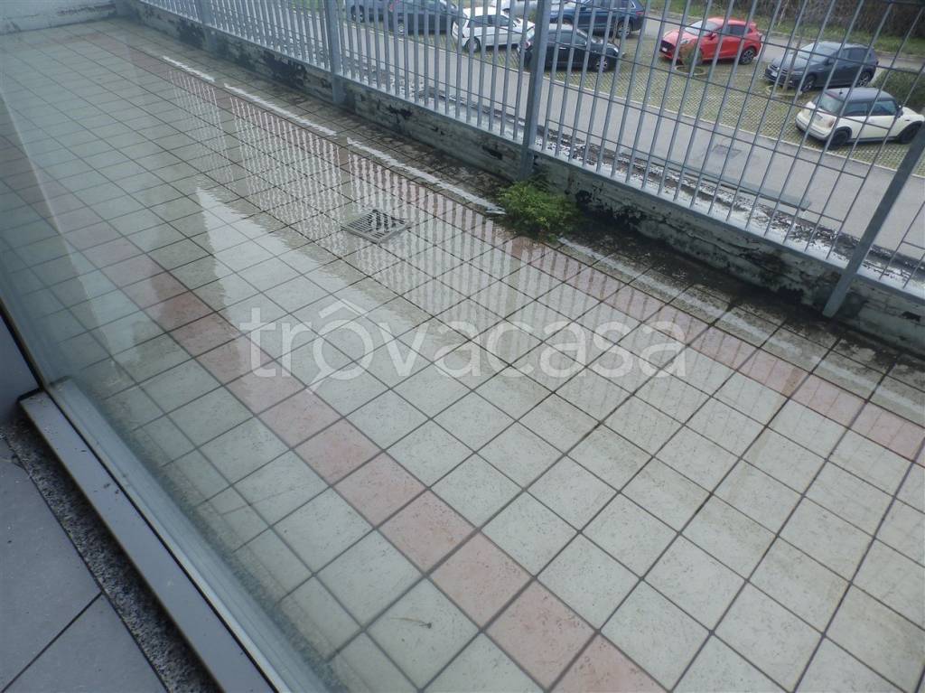 immagine annuncio 3 di 14