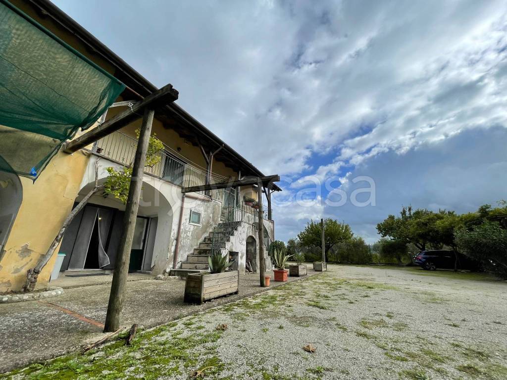 immagine annuncio 7 di 15