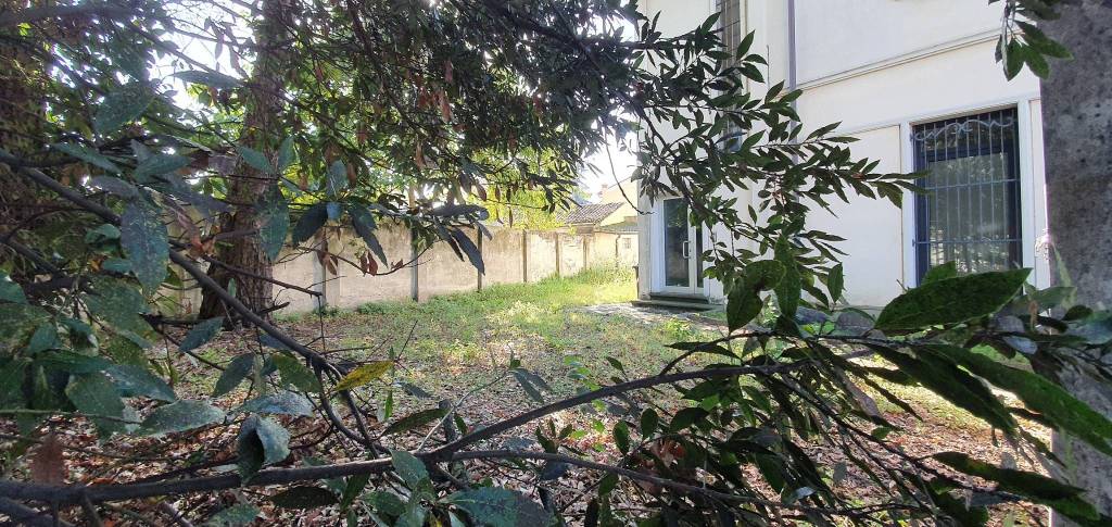 immagine annuncio 7 di 8