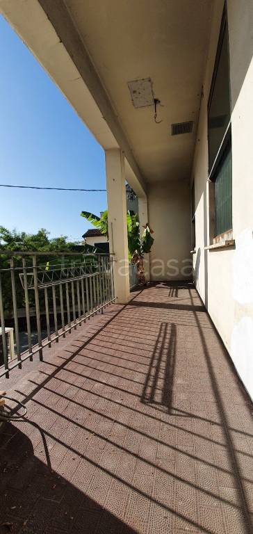 immagine annuncio 4 di 8