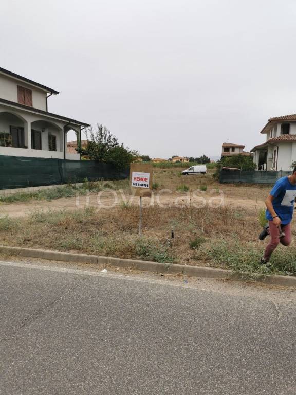 immagine annuncio 1 di 2