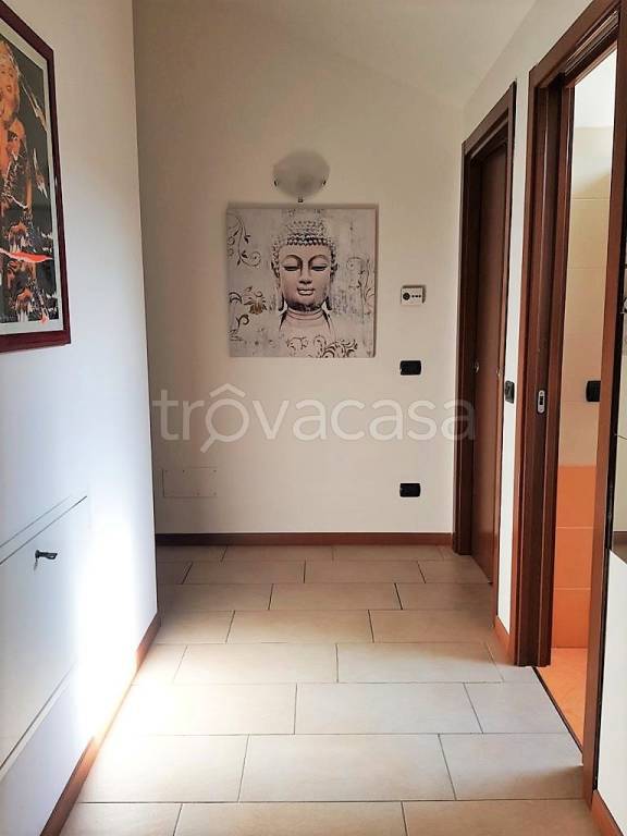 immagine annuncio 4 di 13