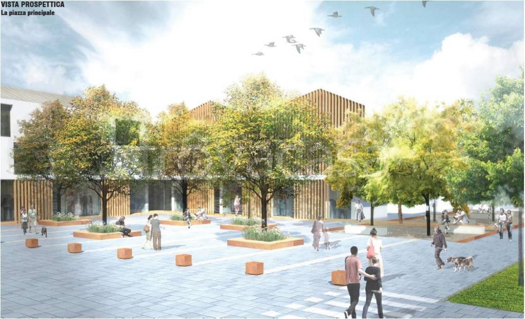 immagine annuncio 13 di 15