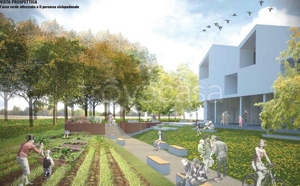 immagine annuncio 14 di 15