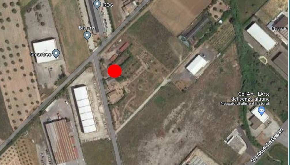 immagine annuncio 12 di 15