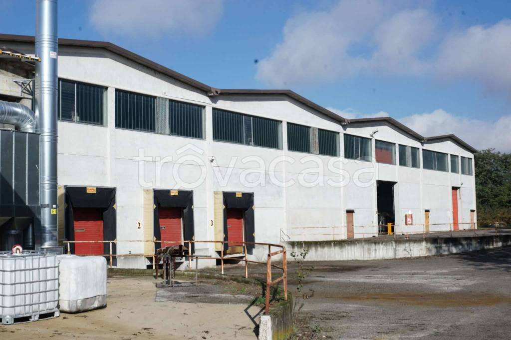 Capannone Industriale in vendita a Tornaco via Guglielmo Oberdan