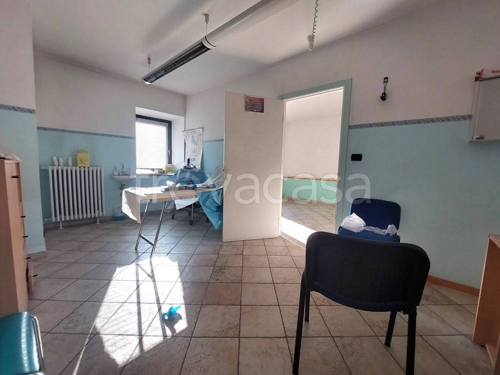 immagine annuncio 12 di 14