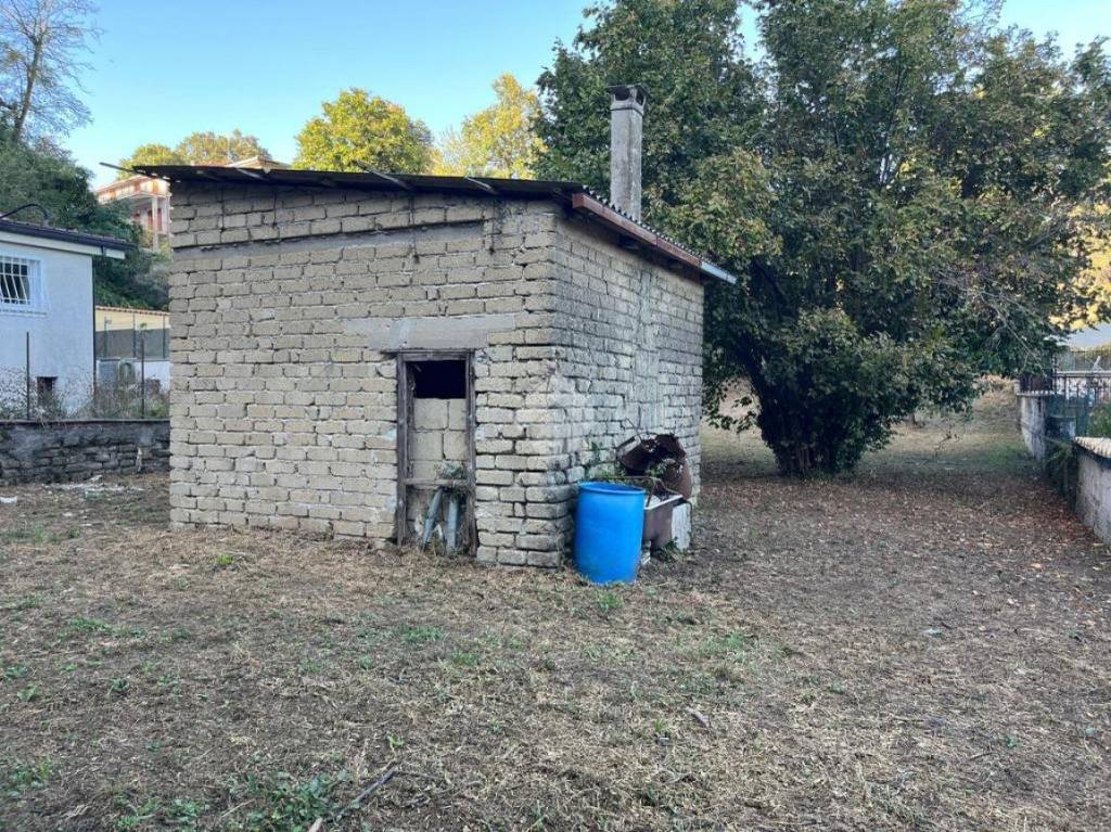 immagine annuncio 2 di 6