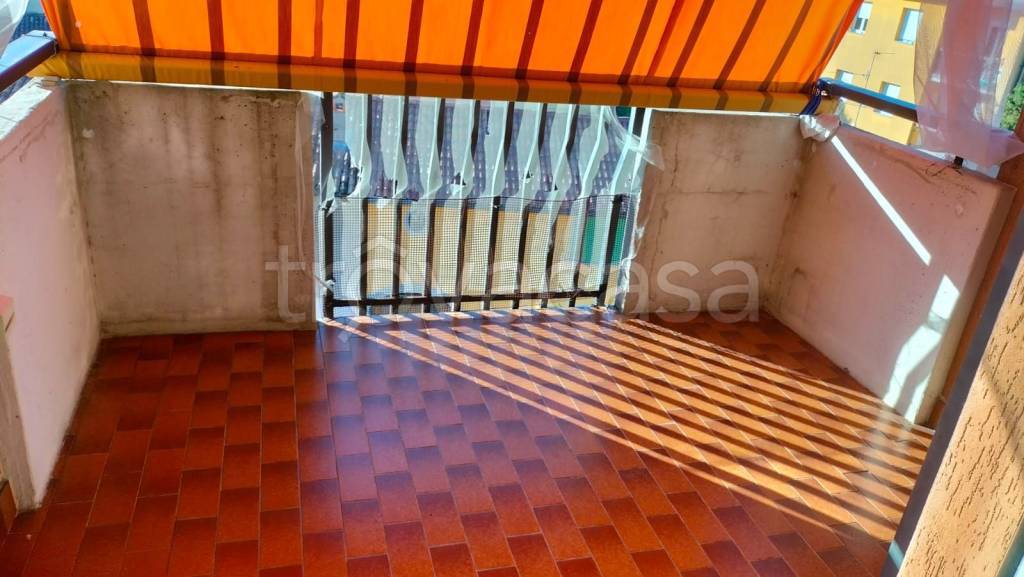 immagine annuncio 3 di 14