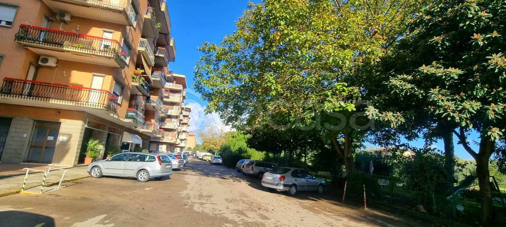 immagine annuncio 2 di 7