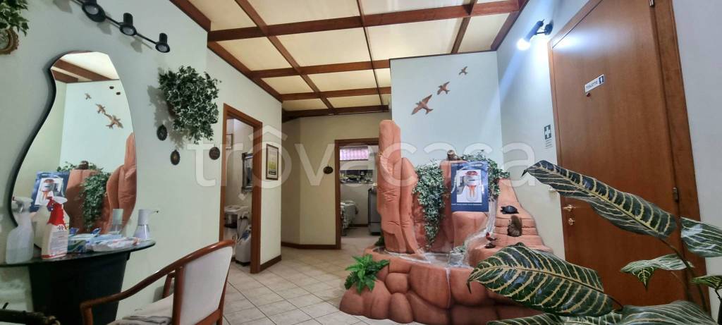 immagine annuncio 3 di 7