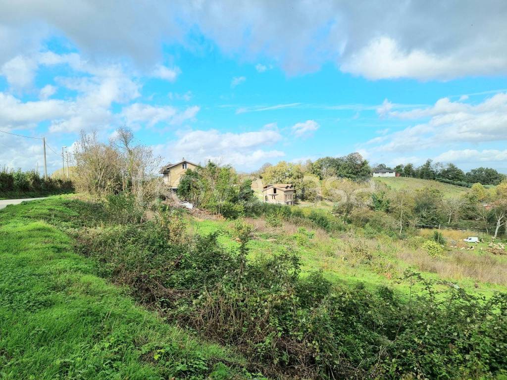 immagine annuncio 3 di 6