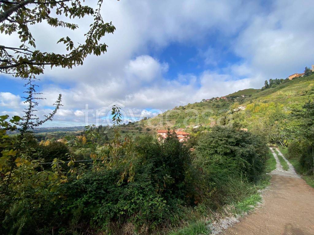 immagine annuncio 4 di 8