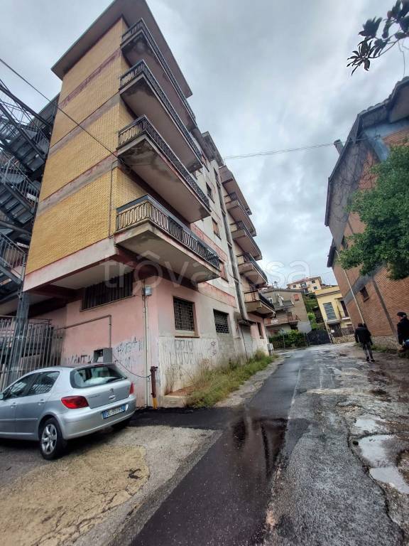immagine annuncio 10 di 14