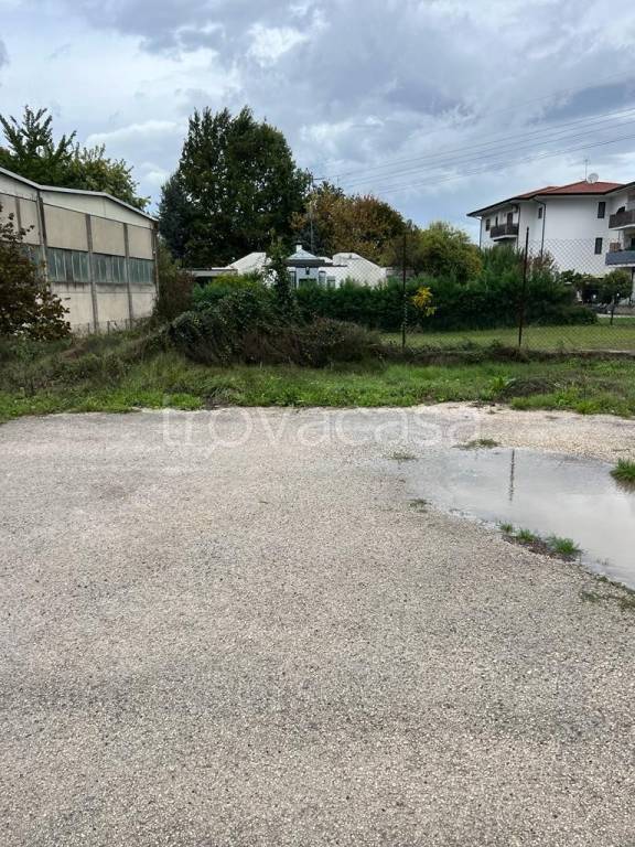 immagine annuncio 11 di 14