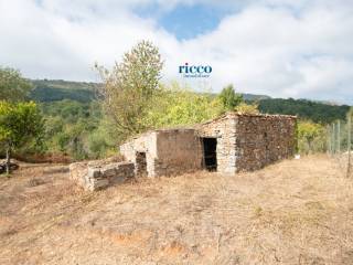 Terreno agricolo in vendita a camerota via buico