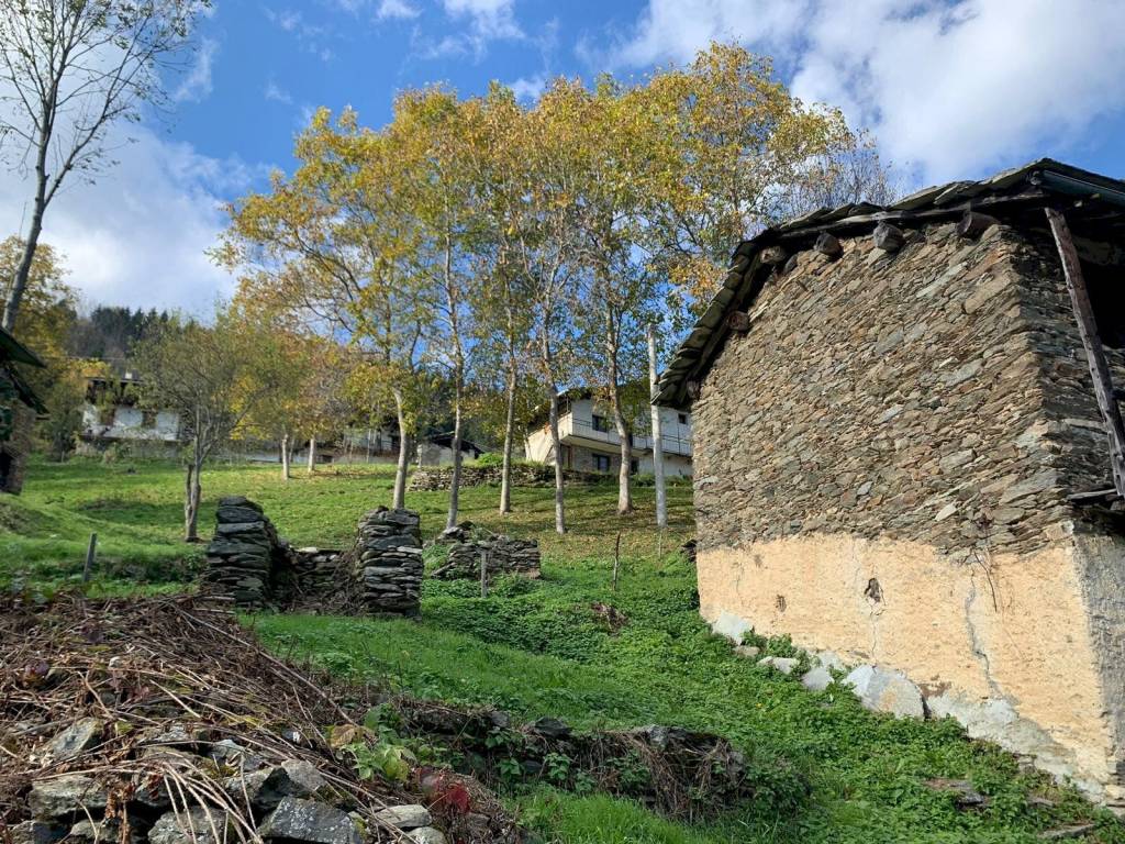 immagine annuncio 2 di 7