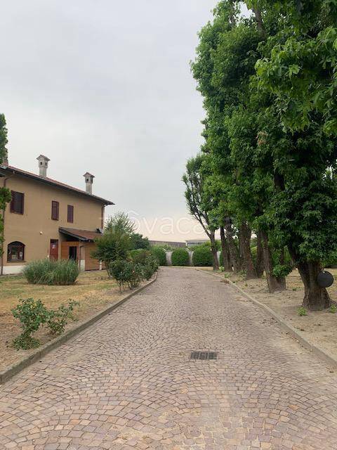 immagine annuncio 4 di 12