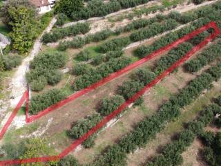 Terreno agricolo in vendita a verona via san rocco