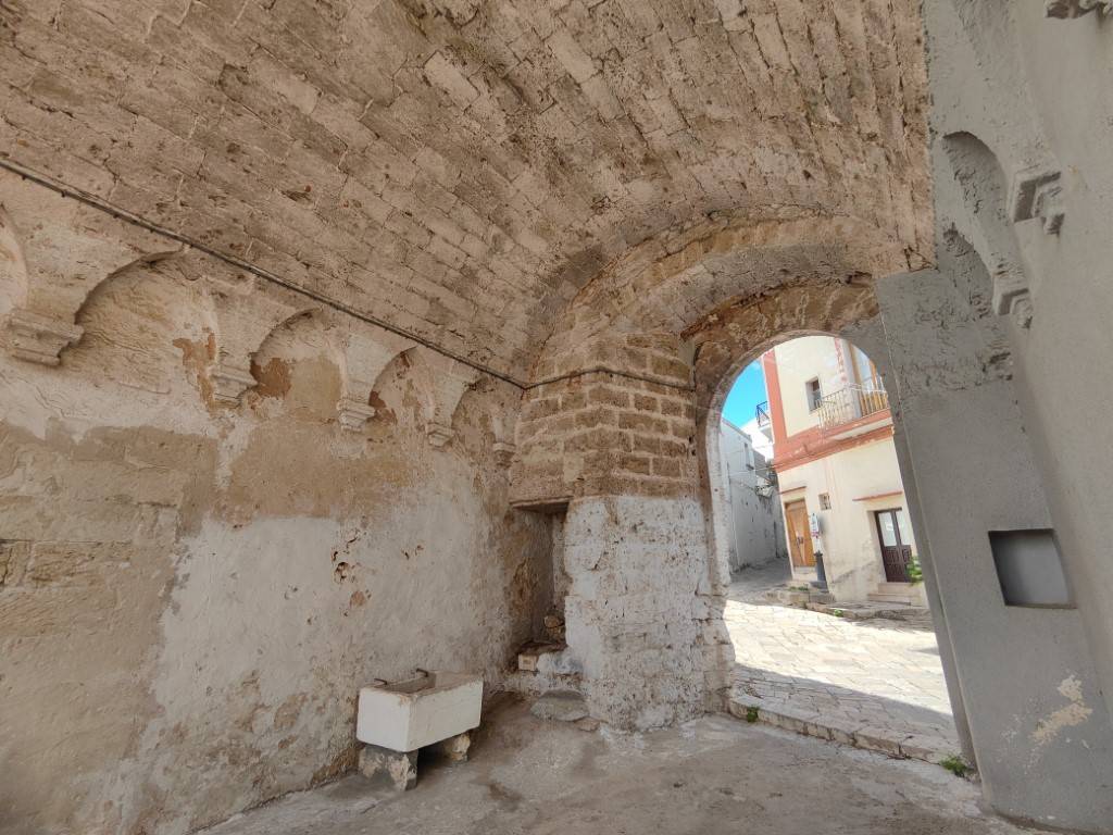 immagine annuncio 12 di 14