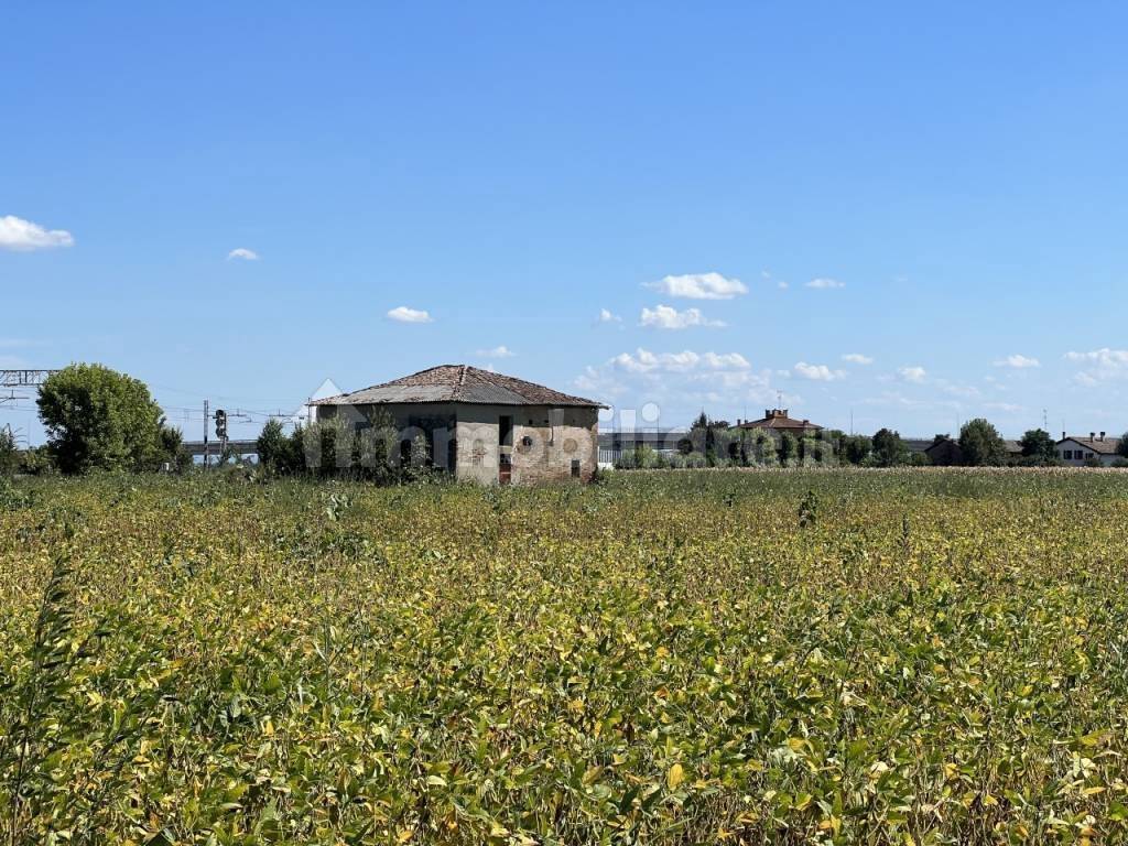 immagine annuncio 6 di 11
