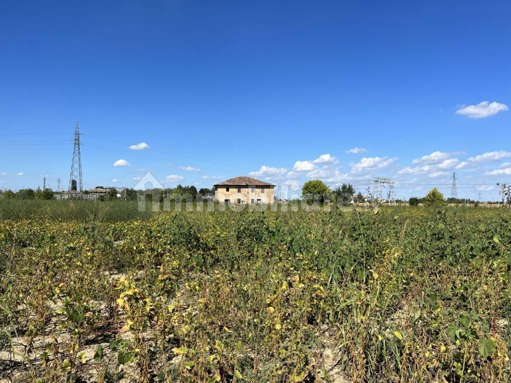 immagine annuncio 7 di 11