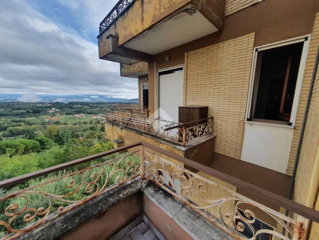 immagine annuncio 11 di 13