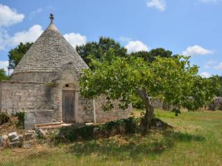 Trullo in in vendita da privato a cisternino contrada san donato