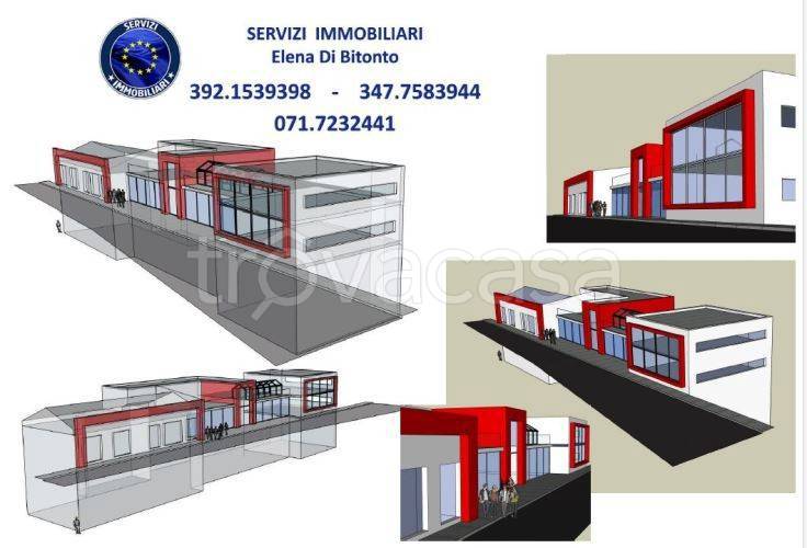 immagine annuncio 4 di 15