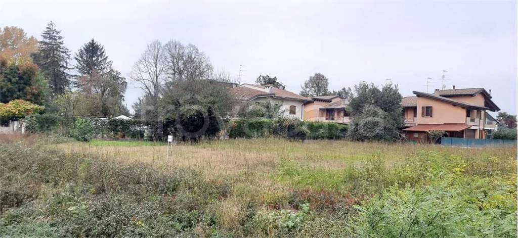 immagine annuncio 3 di 6