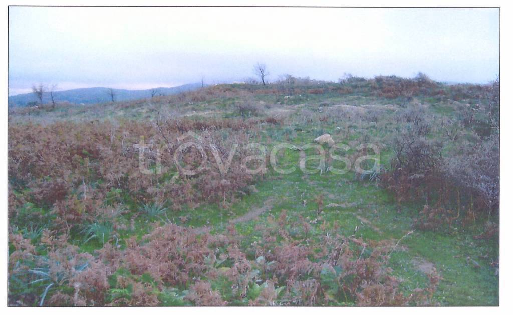 Terreno Agricolo in vendita a Montalbano Elicona strada Provinciale Montalbanese
