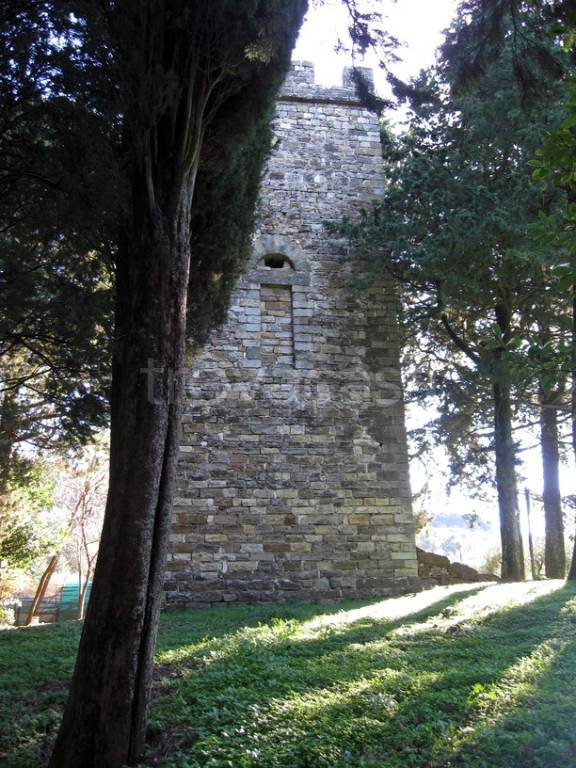immagine annuncio 10 di 14