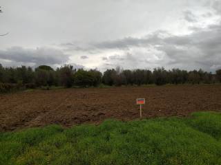 Terreno agricolo in vendita a campi salentina strada comunale campi salentino