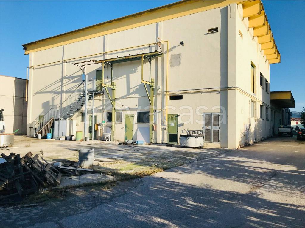 immagine annuncio 9 di 13