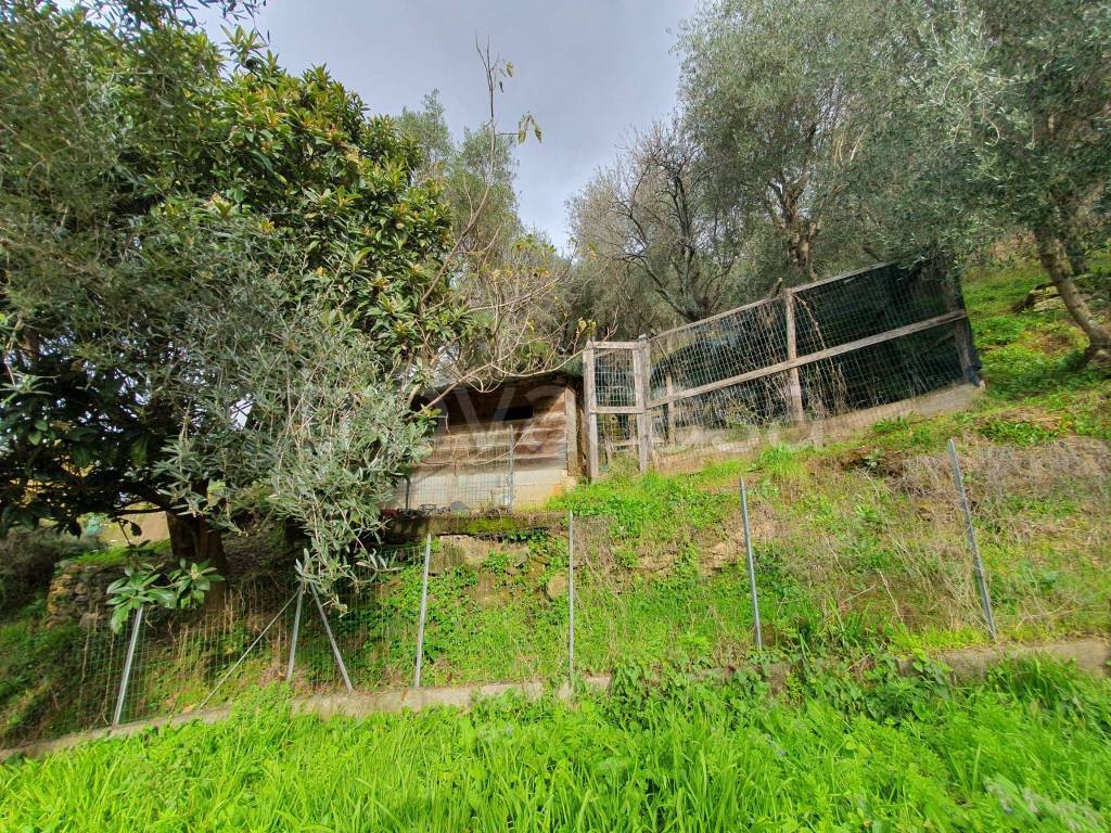 immagine annuncio 9 di 15