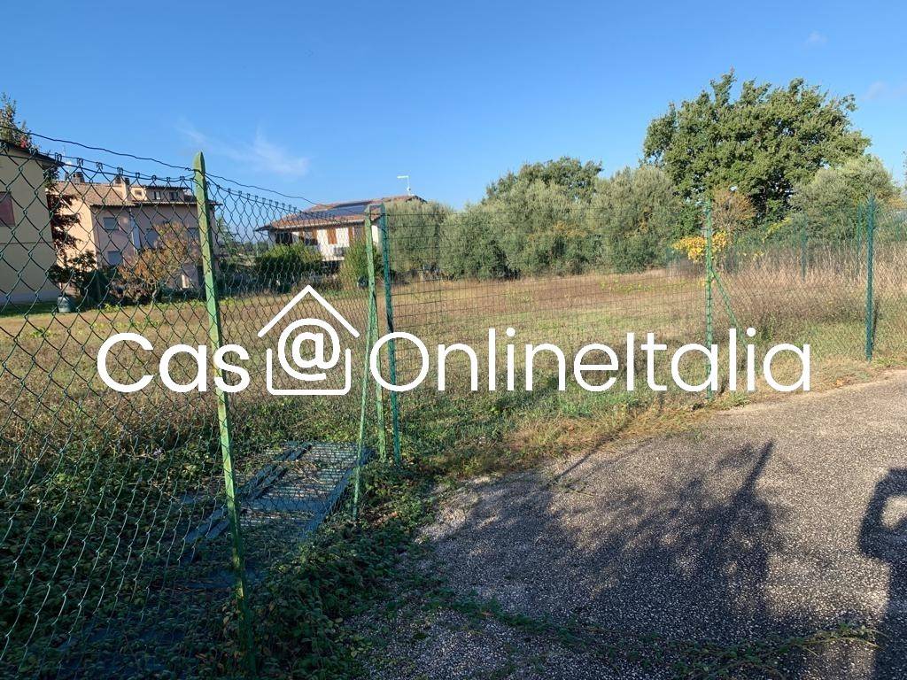 immagine annuncio 3 di 14