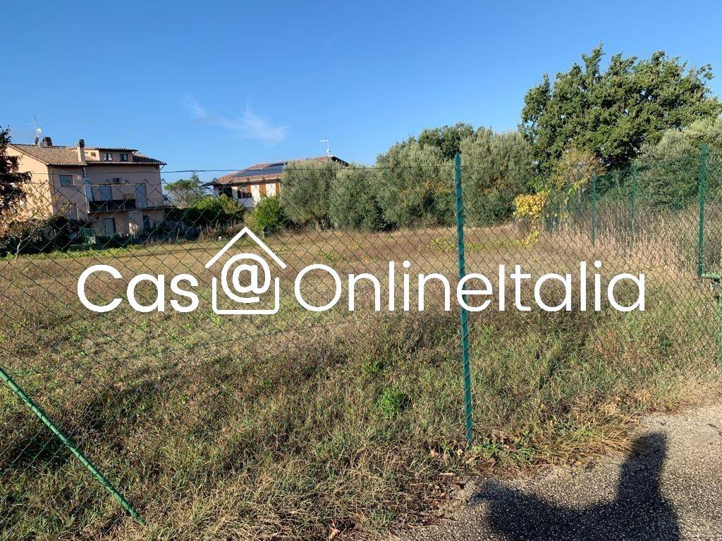 immagine annuncio 4 di 14