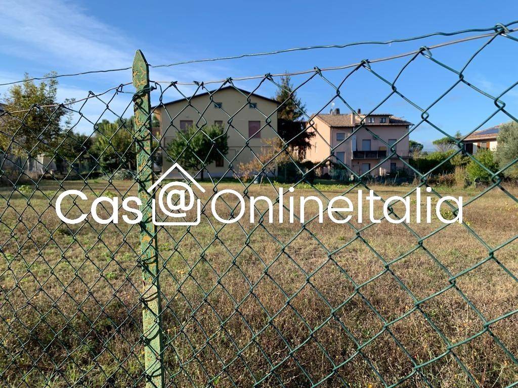 immagine annuncio 6 di 14