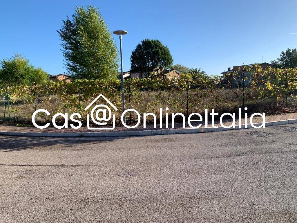 immagine annuncio 9 di 14
