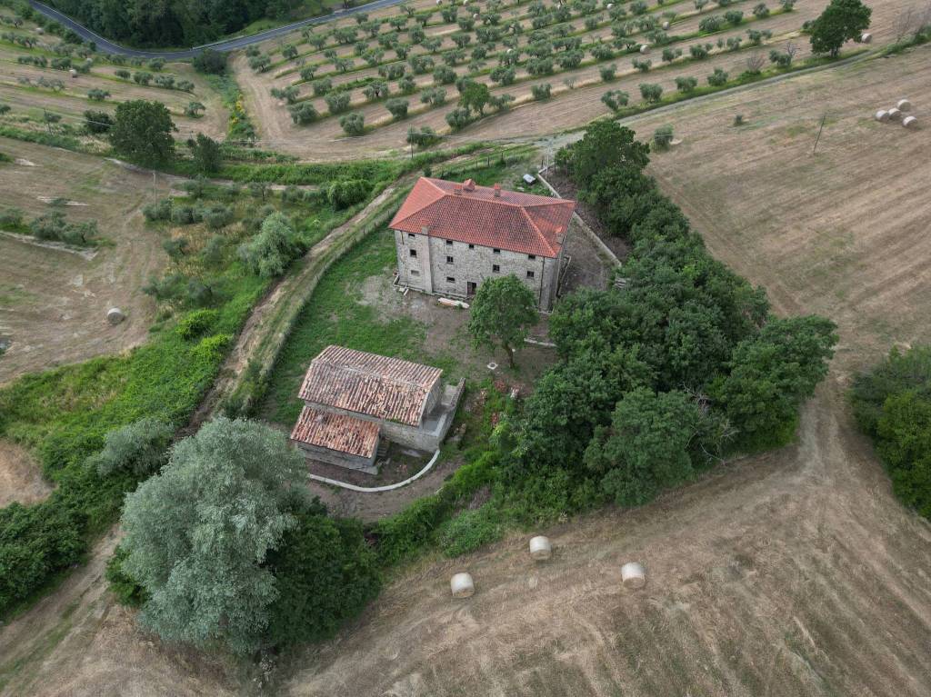 immagine annuncio 11 di 13
