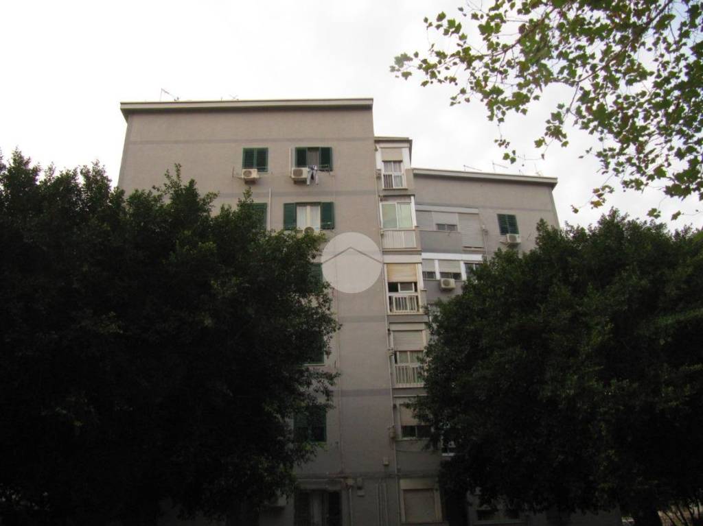 Appartamento in vendita a Palermo via palmerino, 3