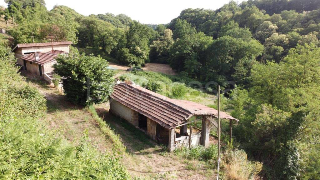 immagine annuncio 10 di 14