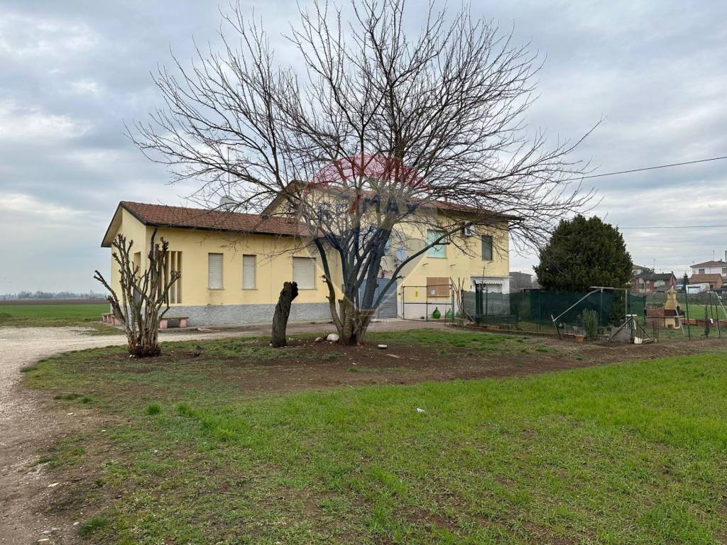 immagine annuncio 2 di 11