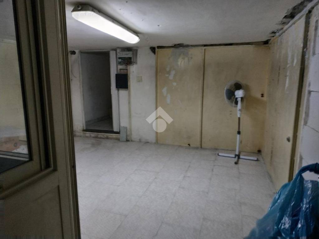 immagine annuncio 12 di 14